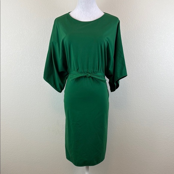 COS Green Sheath Dress with Dolman Sleeves Eur Medium - Picture 1 of 9